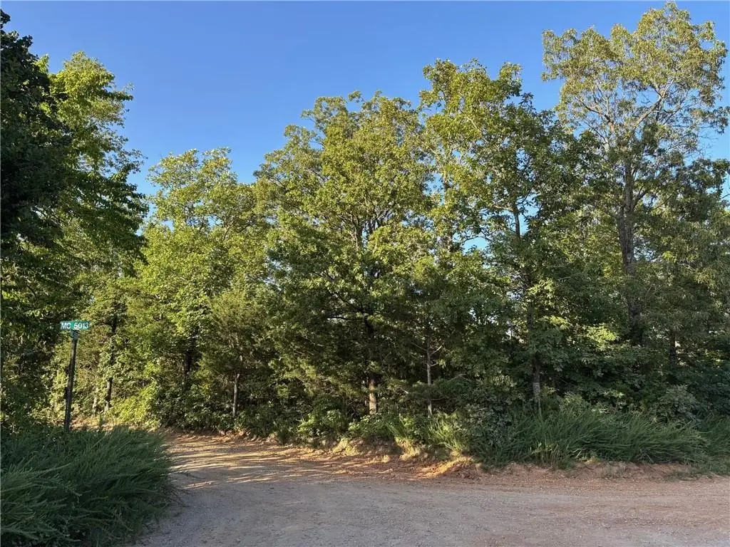 Tract 4C Mc 5056, Everton, AR 72633 - Image #1