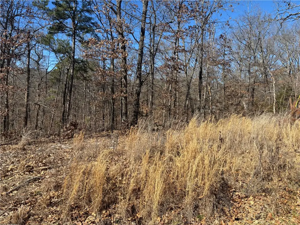 Address Withheld By Seller, Bella Vista, AR 72715 - Image #1