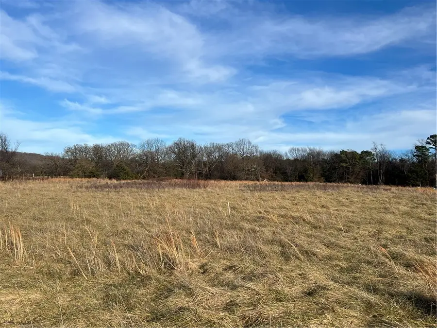 10310 S Highway 59, Summers, AR 72769 - Image #2