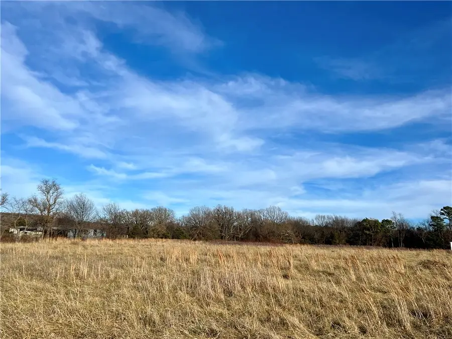 10310 S Highway 59, Summers, AR 72769 - Image #3