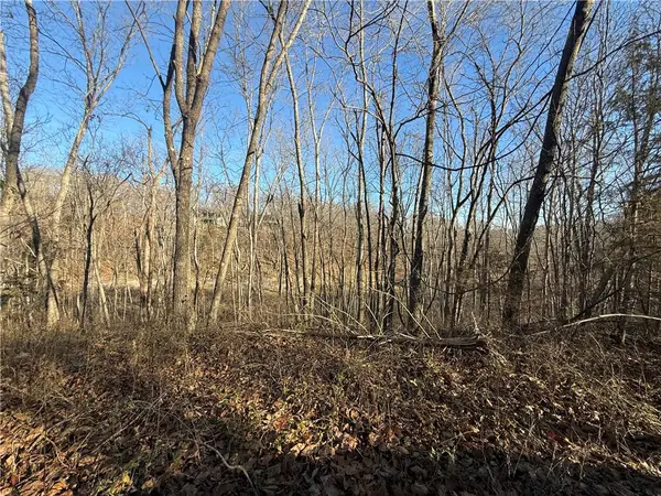 Lot 4 of Block 2 Belgravia Drive, Bella Vista, AR 72715