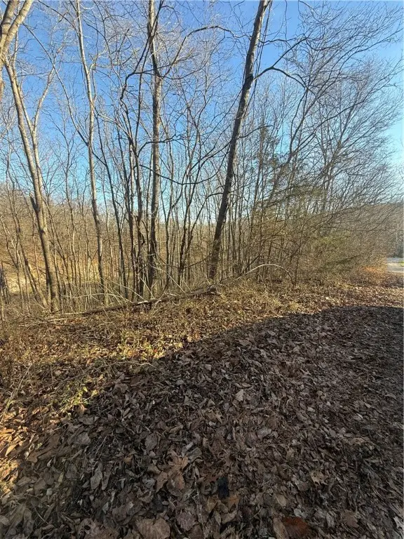 Lot 4 of Block 2 Belgravia Drive, Bella Vista, AR 72715 - Image #2