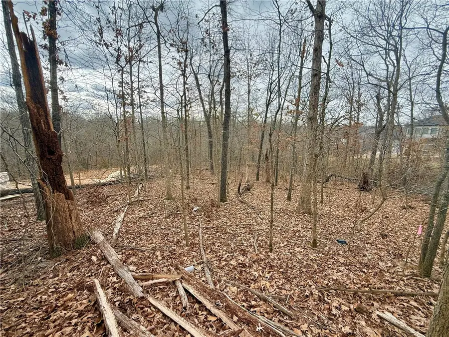 Meshaw Circle, Bella Vista, AR 72714 - Image #3