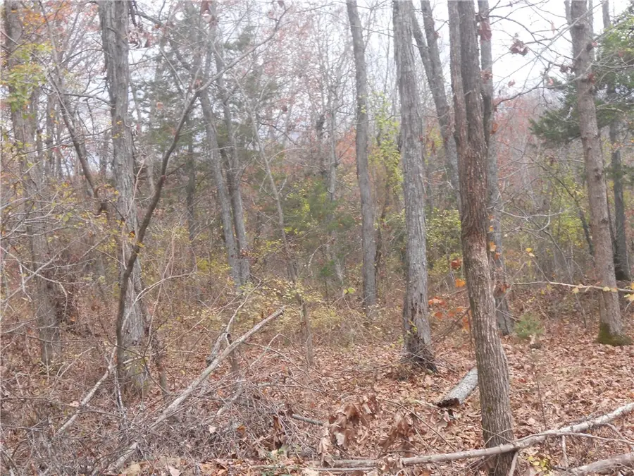 Nc 3510, Western Grove, AR 72685 - Image #3