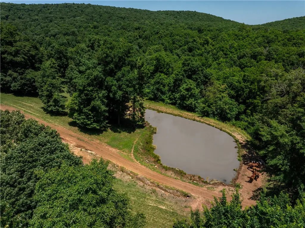 tbd Lot 3 N Cove Creek Wc 21 Road, Prairie Grove, AR 72753 - Image #1