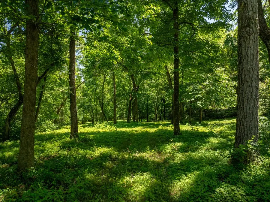 tbd Lot 3 N Cove Creek Wc 21 Road, Prairie Grove, AR 72753 - Image #2