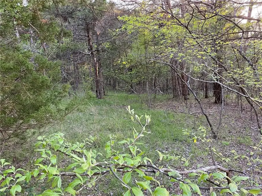 Lot 10 Greenwood Drive, Diamond City, AR 72644 - Image #2