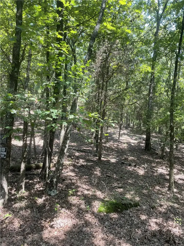 312 Cr 3222 Four Ac, Clarksville, AR 72830 - #2