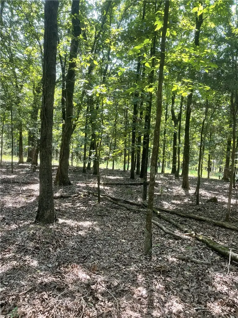 312 Cr 3222 Four Ac, Clarksville, AR 72830 - #3