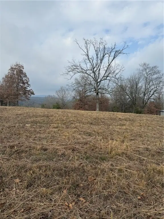 1687 Cr 3581, Lamar, AR 72846 - Image #3