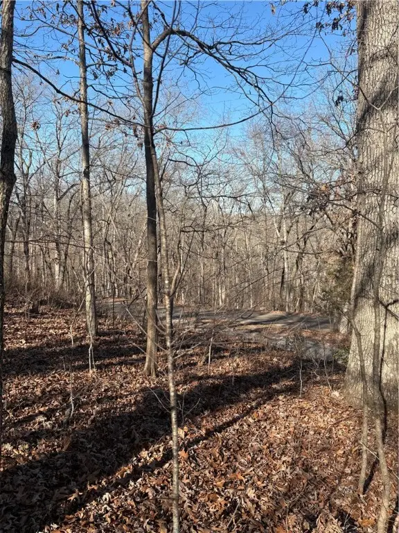 Marshaw Lane, Bella Vista, AR 72715 - Image #3