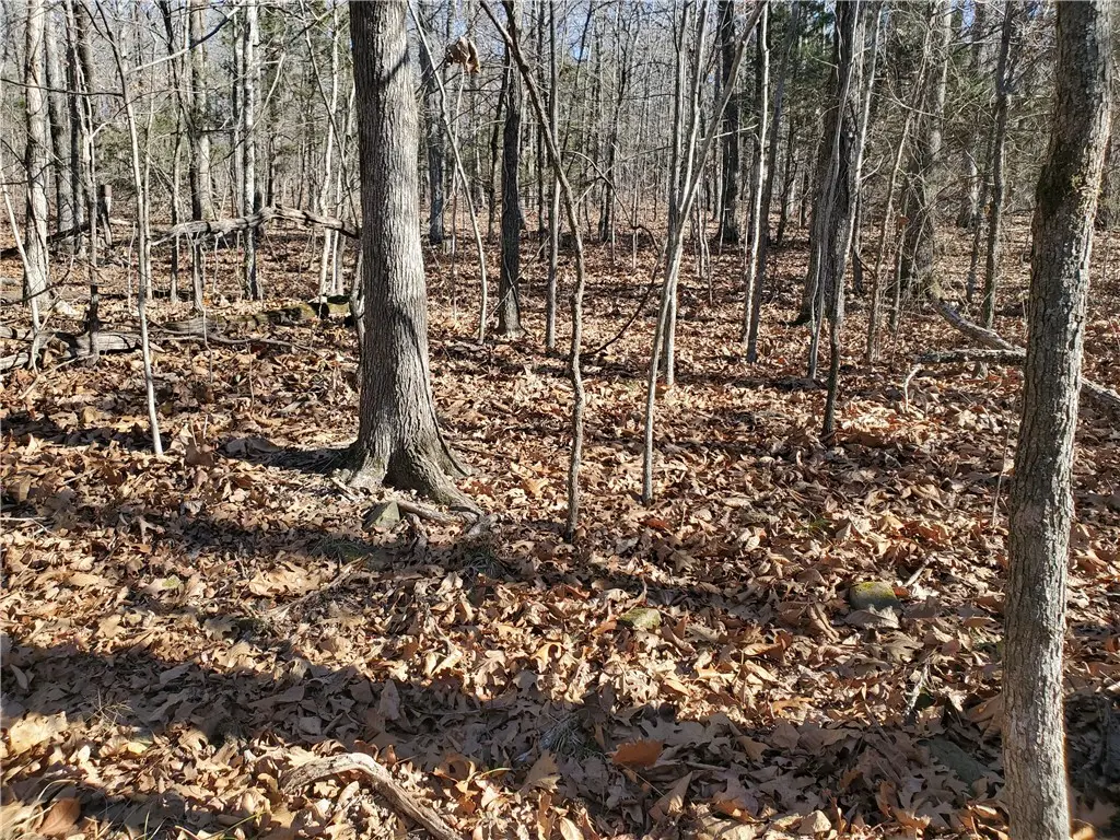 15776 Hwy 74 E Tract 1, Marshall, AR 72650 - #1