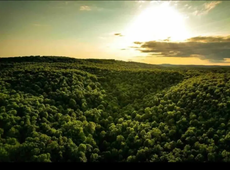 7342 Madison 3605 Road, Kingston, AR 72742 - Image #2