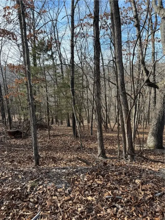 Lot 76 Shady Glen Road, Rogers, AR 72732