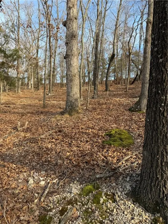 Lot 76 Shady Glen Road, Rogers, AR 72732 - Image #2
