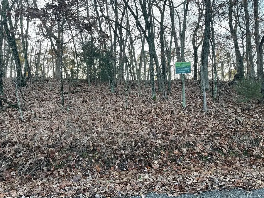 31 Burkimo Lane, Holiday Island, AR 72631 - Image #3