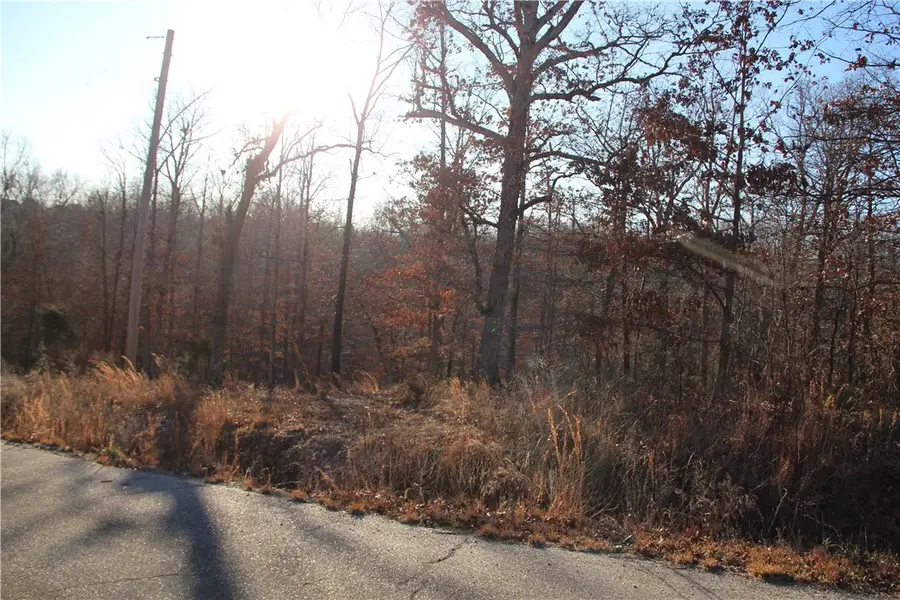 Lorn Lane, Bella Vista, AR 72715 - Image #2