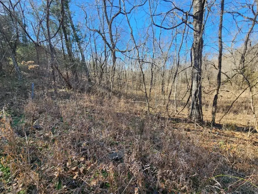 Lot 10 Wey Lane, Bella Vista, AR 72714 - Image #3