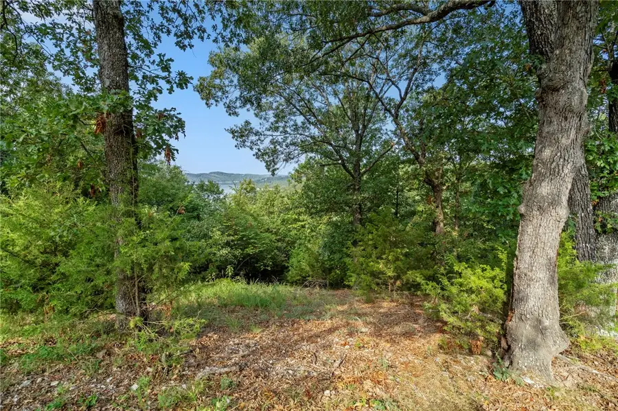 Lot 10 Hillcrest Road, Holiday Island, AR 72631 - Image #3