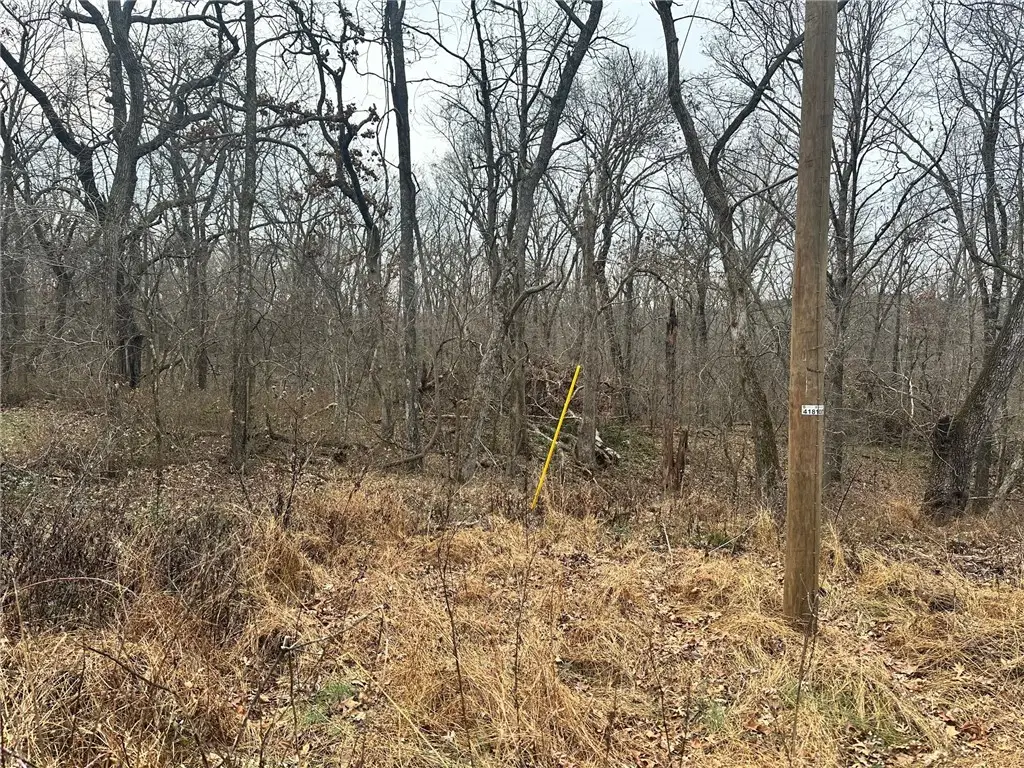 Coalburn Circle, Bella Vista, AR 72715 - Image #1