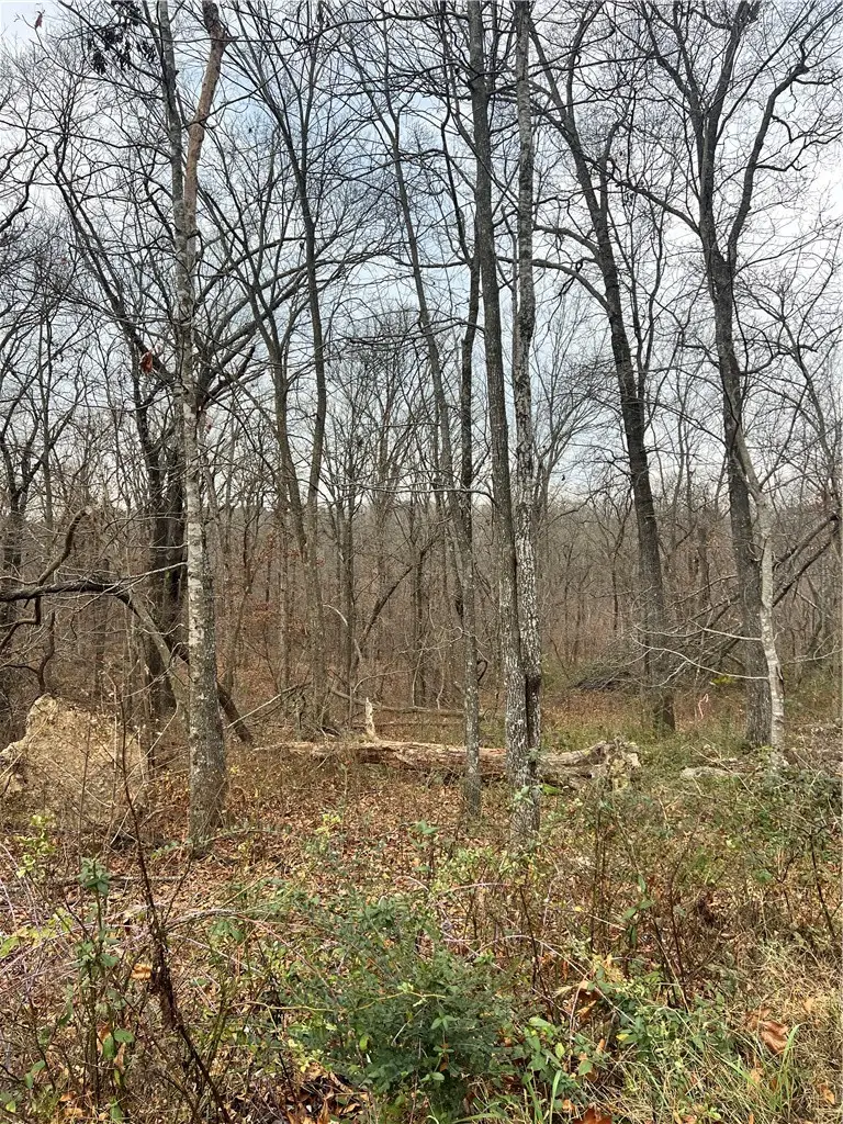 Coalburn Circle, Bella Vista, AR 72715 - Image #2