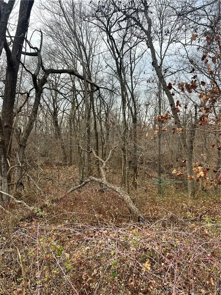 Coalburn Circle, Bella Vista, AR 72715 - Image #3