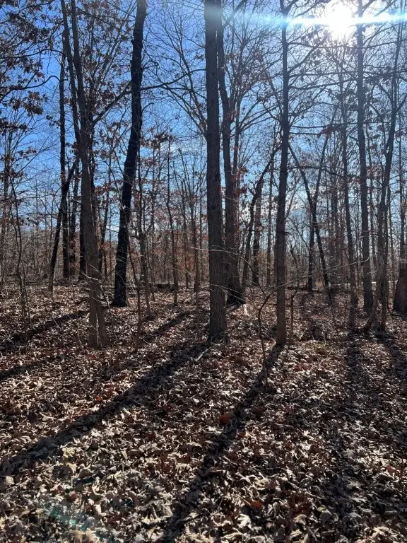 Lot 4 Baltes Drive, Bella Vista, AR 72714 - Image #2