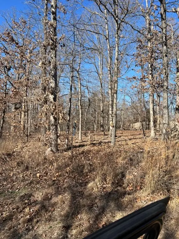 Lot 4 Baltes Drive, Bella Vista, AR 72714 - Image #3