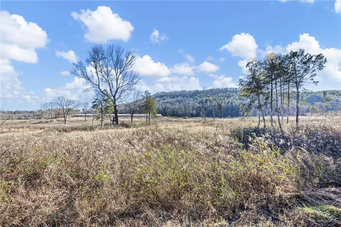 Tract 3 Booger Hollow Road, Dover, AR 72837 - #1
