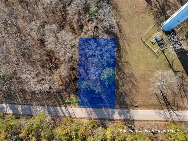 Lot 11 Pine Street, Diamond City, AR 72644