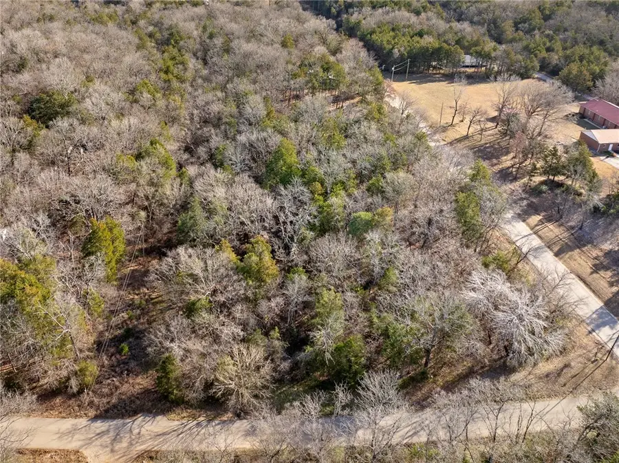 Lots 84, 85, 86 & 107 Gateway Street, Diamond City, AR 72644 - #2