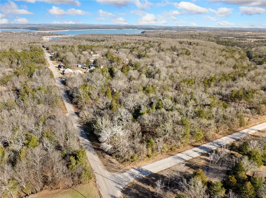 Lot 107 Dove Street, Diamond City, AR 72644 - #2