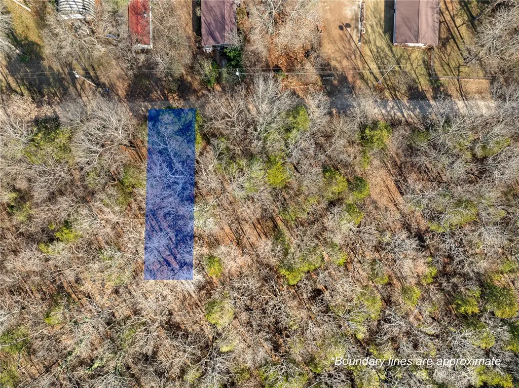 Lot 21 Fawn Street, Diamond City, AR 72644 - #1