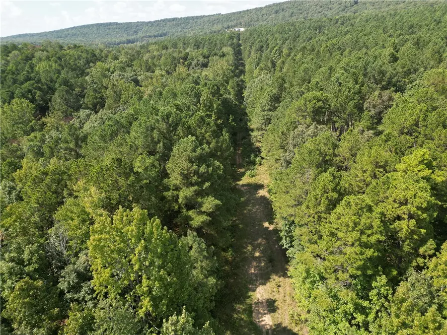 Broomfield Road, Dover, AR 72837 - Image #3