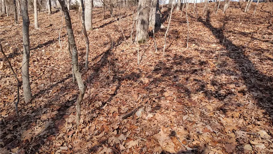 Donington Lane, Bella Vista, AR 72714 - #2