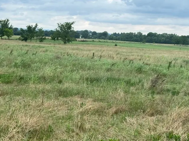 5.66 AC E Pridemore Drive, Lincoln, AR 72744 - Image #3