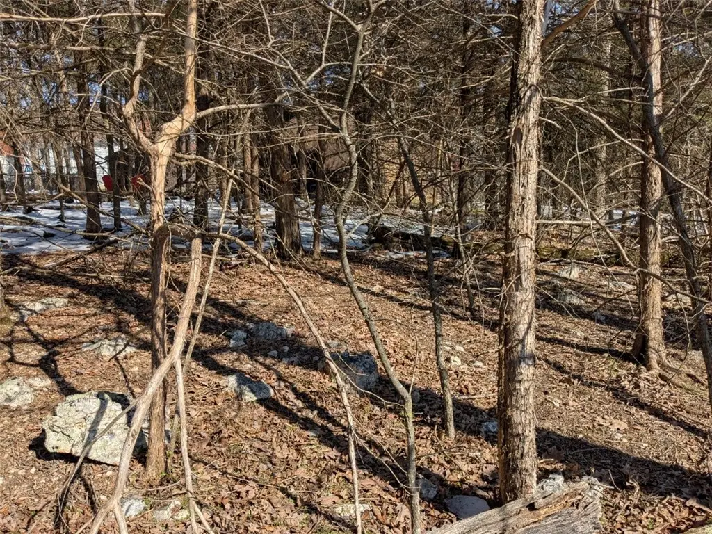 TBD Merion Drive, Holiday Island, AR 72631 - Image #1