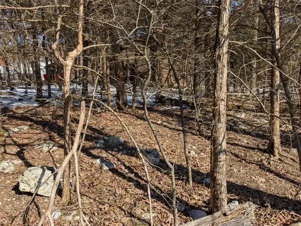 TBD Merion Drive, Holiday Island, AR 72631