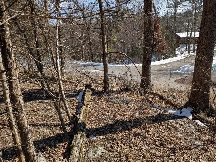 TBD Merion Drive, Holiday Island, AR 72631 - Image #3