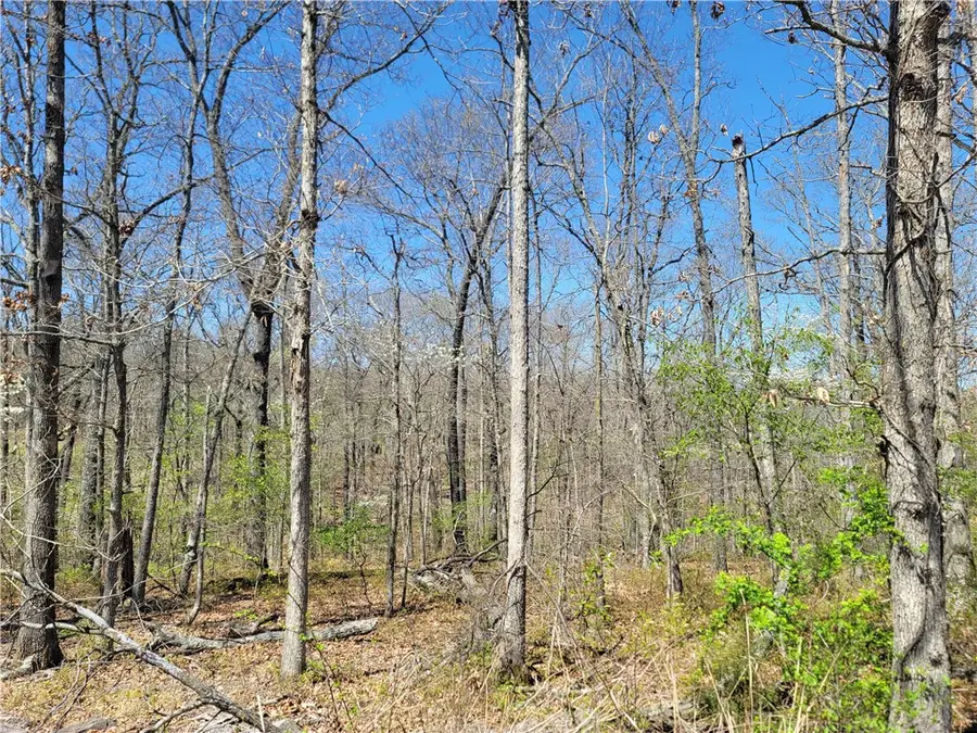 Ayton Lane, Bella Vista, AR 72714 - Image #3