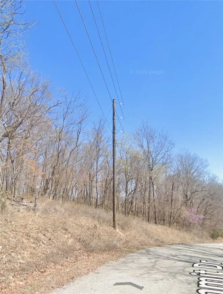 5.16 Acres Summit Drive, Holiday Island, AR 72631 - Image #3