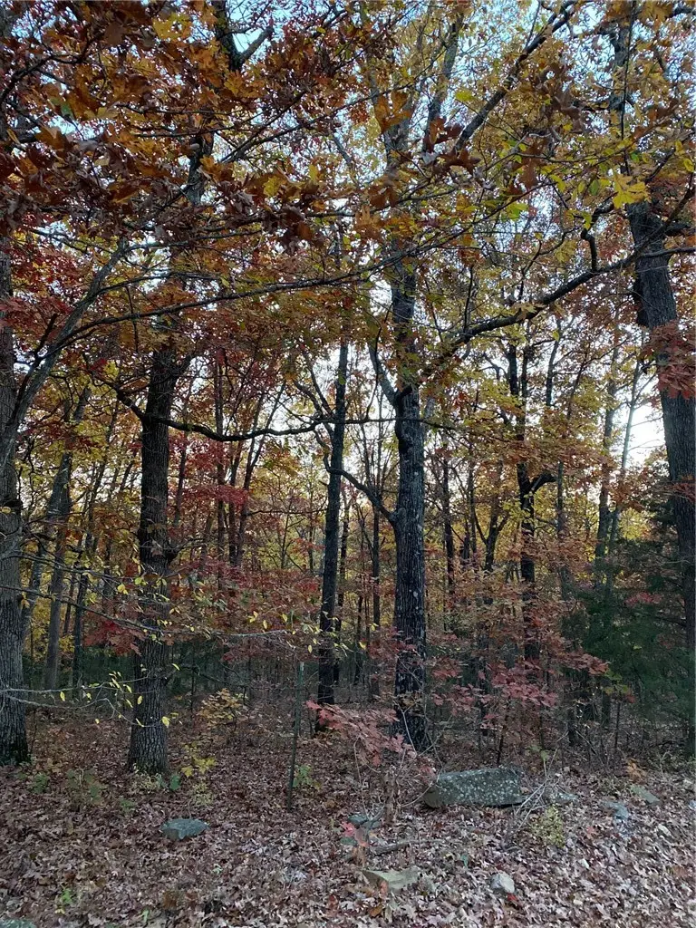 14682 Director Road, West Fork, AR 72774 - #2