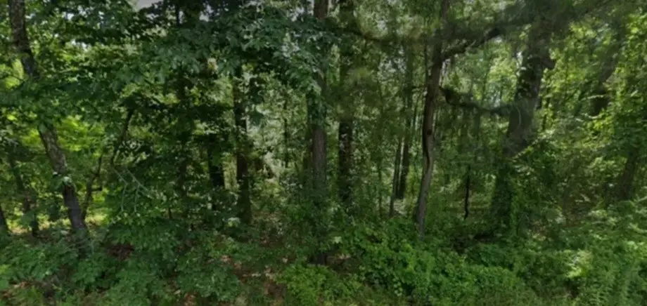 Lot 009 N Norman Street, Pine Bluff, AR 71602 - #1