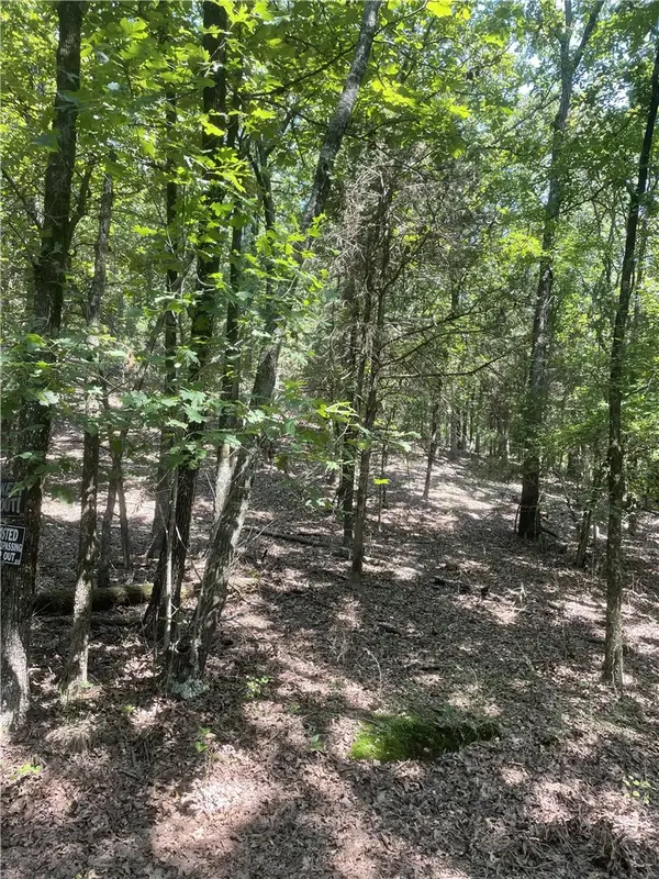 312 Cr 3222 Two Ac, Clarksville, AR 72830