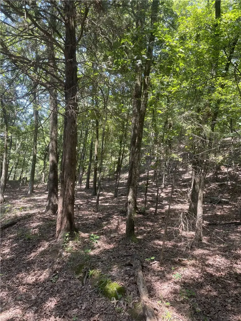 312 Cr 3222 Two Ac, Clarksville, AR 72830 - #3