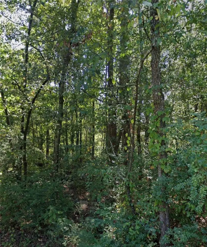 Lot 004 W Webb Avenue, Pine Bluff, AR 71602 - #1