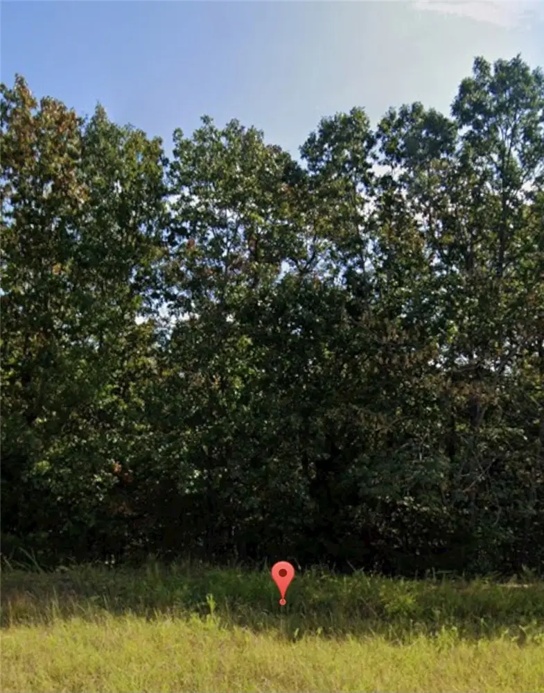 Lot 134 010-00329-000, Briarcliff, AR 72653 - #1