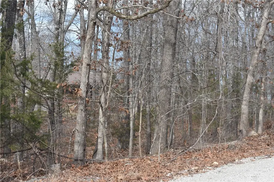 Lot 24 Cr 984, Mountain Home, AR 72653 - #2