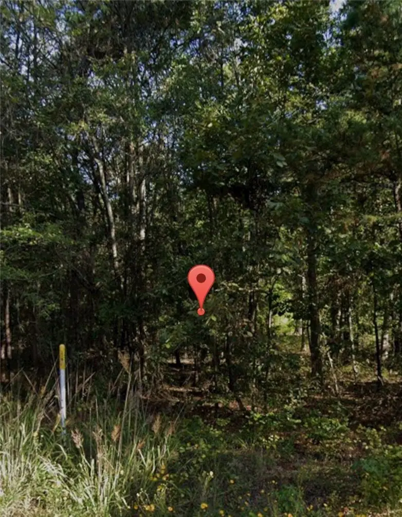 Lot 001 930-37727-000, Pine Bluff, AR 71602 - Image #2