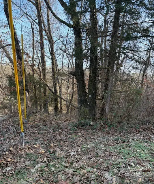 Lot 48 Block 38 Cedar Crest Drive, Bella Vista, AR 72714